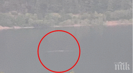 видяха чудовището лох нес събуди