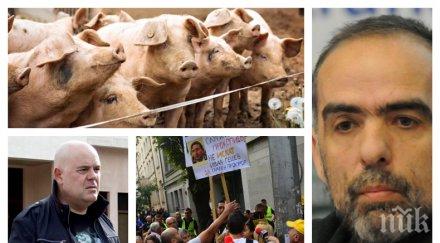 пик мрежата изригна тома белев слугинажа подсъдимия олигарх прокопиев чумата свинете снимки