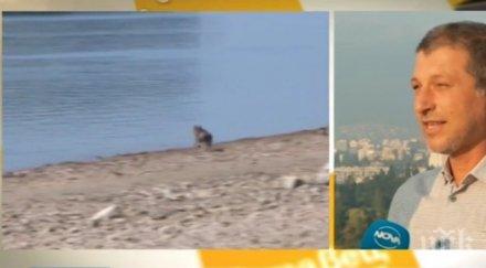 метеоролог предупреди гръм мълнии уикенда нахлува студен фронт пролетни температури