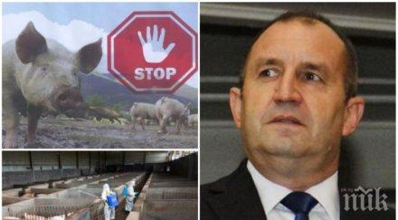 всичката мара втасала румен радев захвана чумата свинете