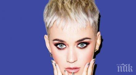 съд призна кейти пери виновна плагиатство