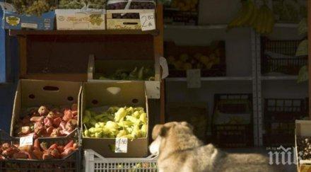 сервизи бакалии фалират често