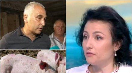 бедствено положение стопани отказват колят прасетата десислава танева заговори тежка икономическа криза заради африканската чума