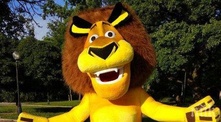 заради жегите годишен аниматор почина инфаркт