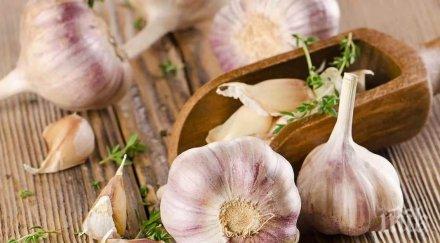 обичаме чесън понасяме дъха