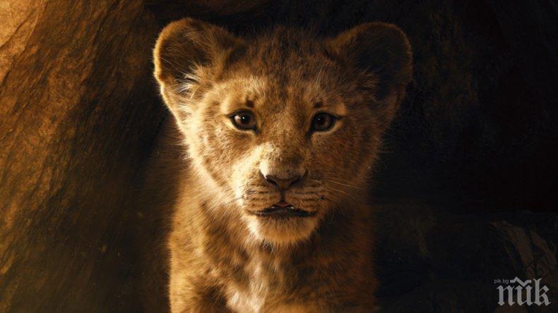 Цар Лъв е най-гледаният филм у нас