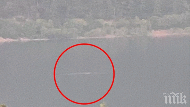 ВИДЯХА ГО: Чудовището от Лох Нес се събуди 