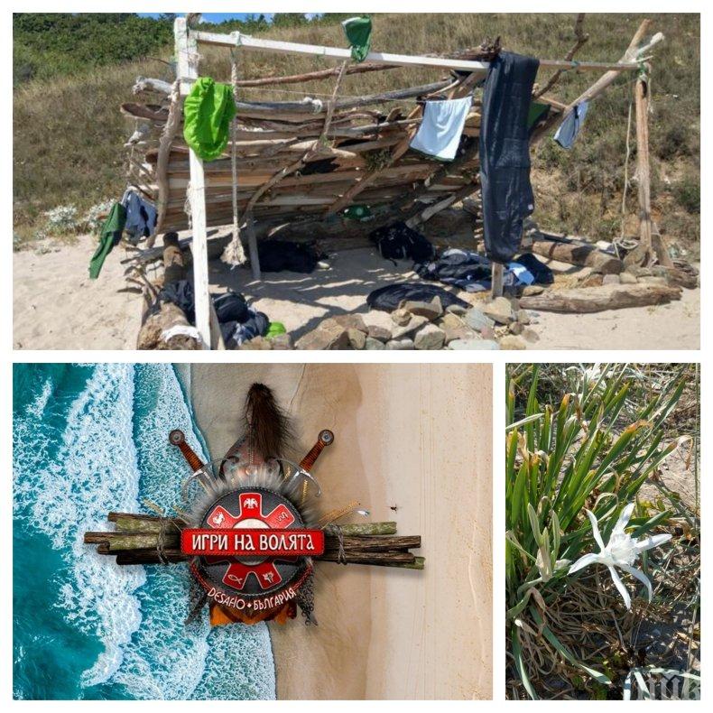 СКАНДАЛЪТ ЕСКАЛИРА: Тоалетната на Игри на волята на сантиметри от защитени лилии - продукцията на Тупарев снима незаконно на плажа Листи (СНИМКИ/ДОКУМЕНТ)