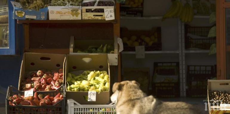 Сервизи и бакалии фалират най-често 