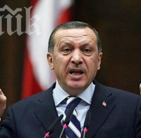 Реджеп Тайип Ердоган вини 