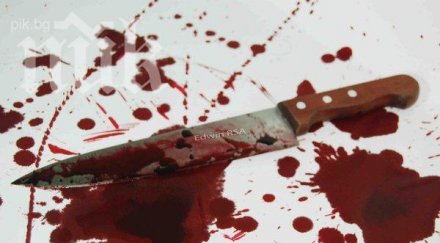 повдигнаха обвинение зверско убийство съученик