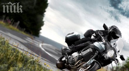 рокер заби бус загина