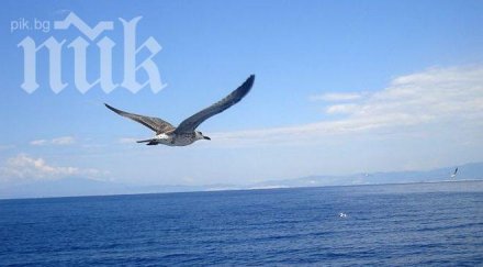 времето перфектно слънце без жеги