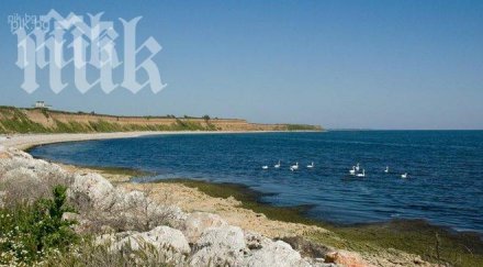 герб мораториумът строителството черноморието популизъм