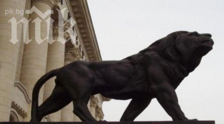 един лъвовете съдебната палата осъмна клоун