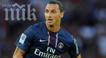 пелегрини готви трансферен удар ибрахимович