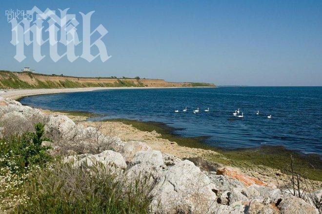 ГЕРБ: Мораториумът върху строителството по Черноморието е популизъм