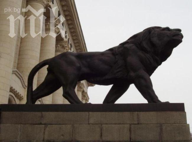 Един от лъвовете пред Съдебната палата осъмна като клоун