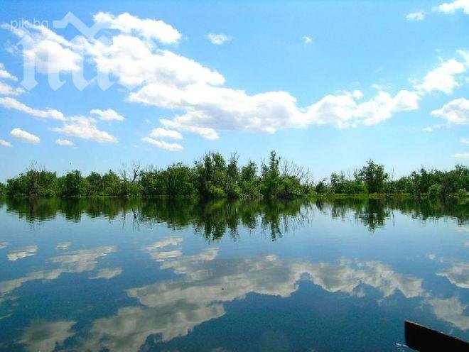 Откриха труп на жена в Дунав