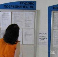 3,2% падна безработицата в района на Търново