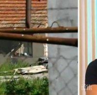 ГОРЕЩА ТЕМА! Ветеринарен шеф разкри: Голяма част от прасетата в задния двор са нелегални - протестите са вредни и опасни