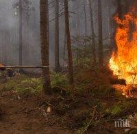 Биолог: Изгорялата територия в Сибир е колкото цяла Гърция