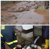 Разследващи разплитат жестокото убийство край Враца