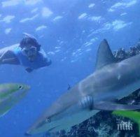 Нина Добрев спасява акули