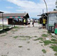 НА КОРЕМ: Тайна борса продава свинско до Пловдив (СНИМКИ)