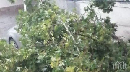 последните минути страшната буря преминала варна удари бургас линейки пожарни хвърчат града