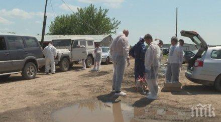 свиневъдите скочиха протестите зоват извънредно положение вирусът започна частните домове настояваме спазват изискванията
