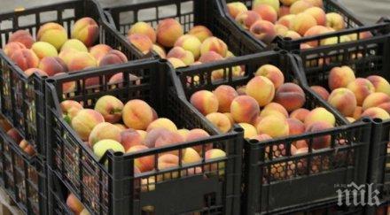 гръцките праскови превзеха инклузива