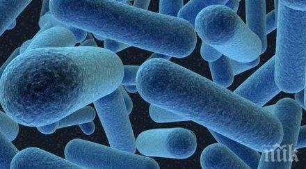 опасна супербактерия взима все повече човешки жертви