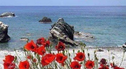 звездите говорят започвайте нищо важно никакъв случай давайте пари назаем