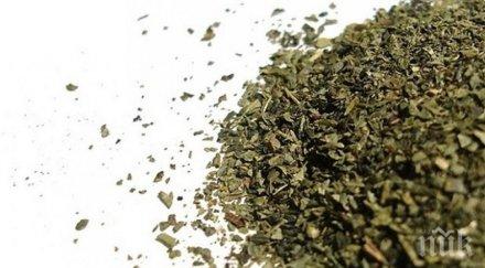 продадоха рядък чай индия рекордна цена