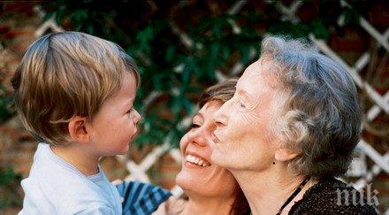 познаваме родата чана роднинска връзка стрикото