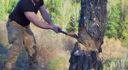 отсечено дърво уби мъж гоце делчев