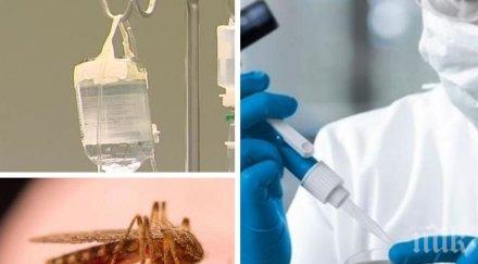 ужас стюардеса издъхна агония южна азия довело трагедията