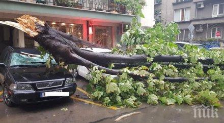 драма четирима пострадаха бурята варна