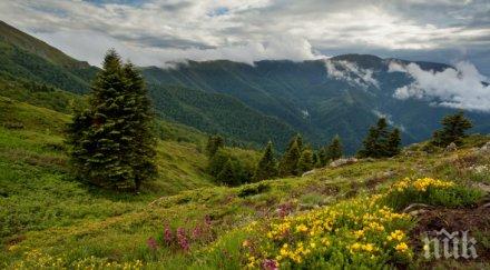 псс прекрати търсенето изчезналия мъж лакатник обявяват издирване