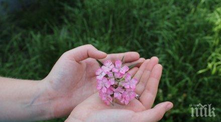 дама печели 6000 долара ден показва дланите
