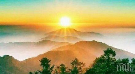 звездите говорят ден опрощение запознанства