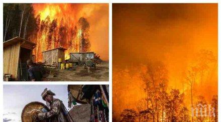 тежки думи руски еколог твърди калпав закон чиновническа немарливост причини пожарите сибир