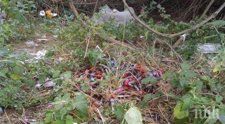 зараза неизвестен изхвърли епруветки кръв парк девня снимки