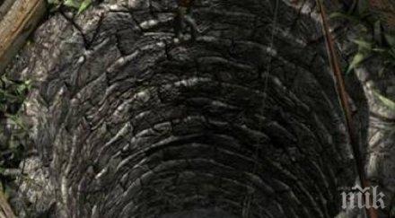 потресаваща трагедия баща дъщеричката удавиха кладенец софия