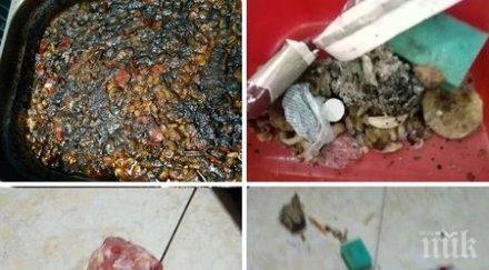 собственикът супермаркета слънчев бряг готвачката лъже затваряна фризера