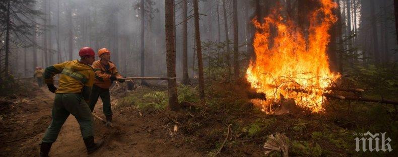 Биолог: Изгорялата територия в Сибир е колкото цяла Гърция