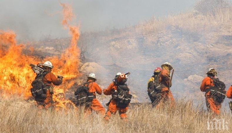 Над 30 горски пожара са загасени в Русия за последното денонощие