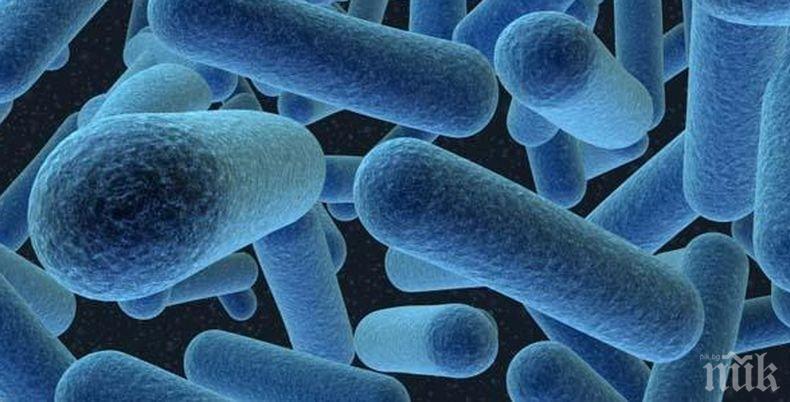 Опасна супербактерия взима все повече човешки жертви