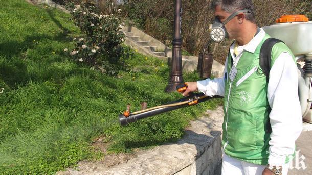 В Пловдив ще пръскат срещу комари и през август